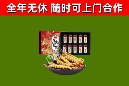 城关烟酒回收冬虫夏草礼盒.jpg