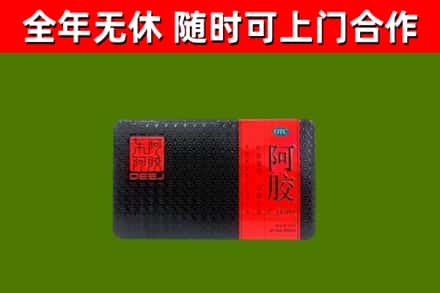 城关烟酒回收阿胶.jpg