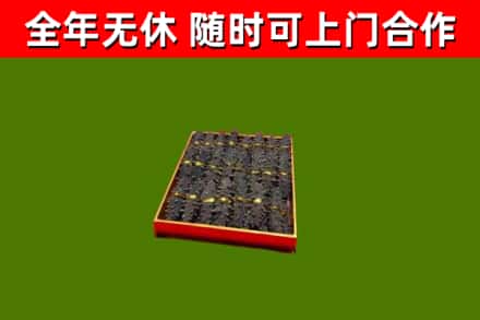 城关烟酒回收海参.jpg